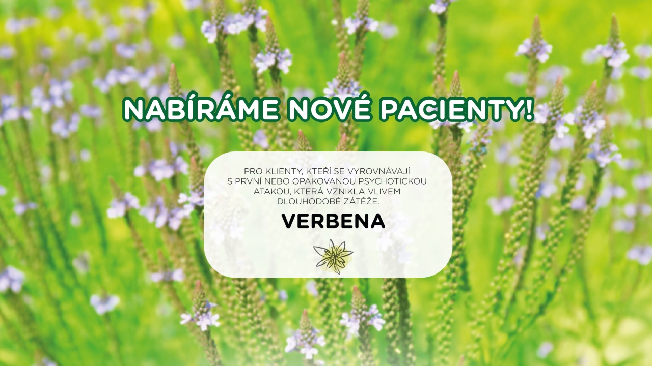 Verbena: nabíráme nové pacienty